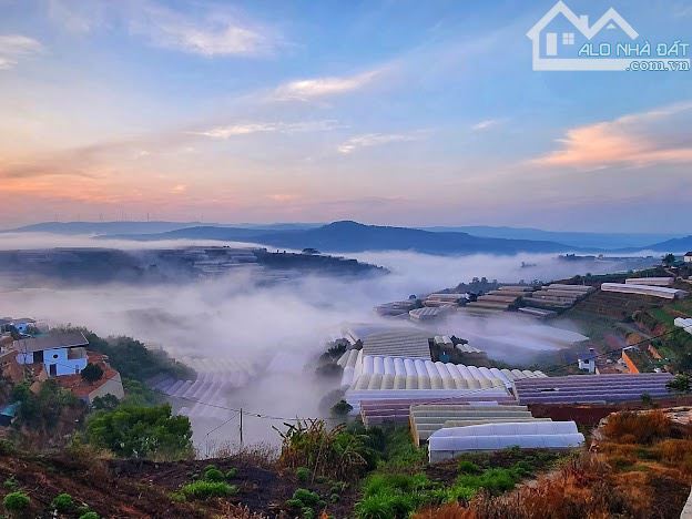 Cần bán chiếc farm nhỏ tại xã Xuân Thọ, tp Đà Lạt. 1843m² - 9ty5 - 29