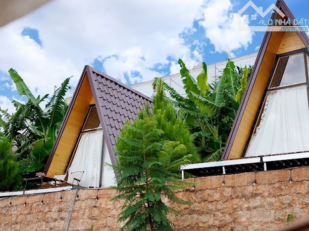 Cần bán chiếc farm nhỏ tại xã Xuân Thọ, tp Đà Lạt. 1843m² - 9ty5 - 31
