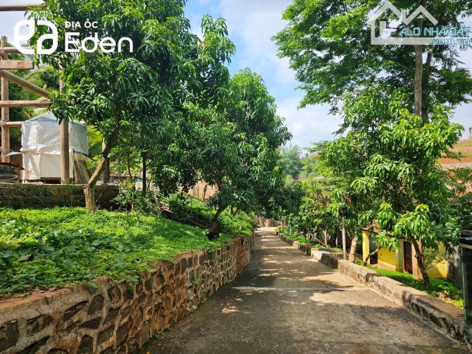 🍀BÁN CĂN NHÀ VƯỜN 6 SÀO NGAY TRUNG TÂM THÀNH PHỐ - P TÂN LỢI (6000 m²) - 5