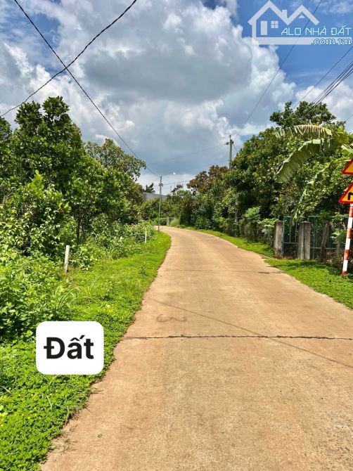 ✨ 5x40m (100% Thổ Cư), Mặt tiền Bê Tông lớn, 2 Ô tô tránh nhau, KDC mới xây dựng - 559Tr