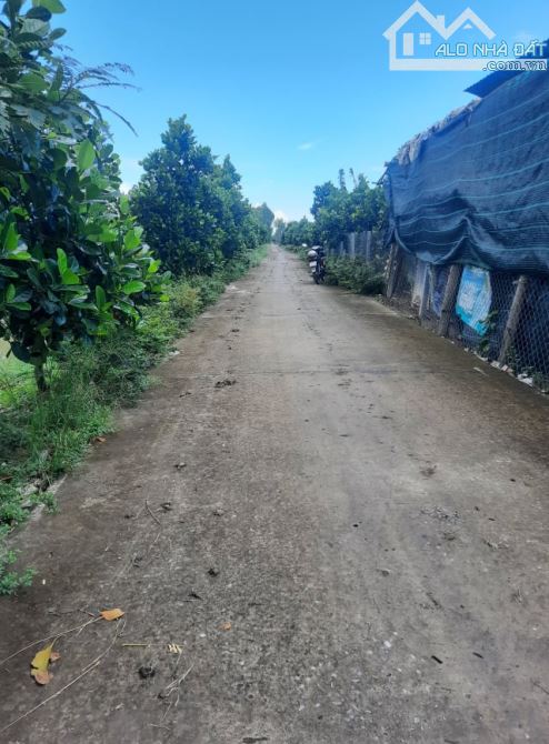BÁN HƠN 1 CÔNG ĐẤT (12x85) LỘ DAL 3,5M CÁCH CHỢ HÒA THÀNH 3KM – H. LAI VUNG