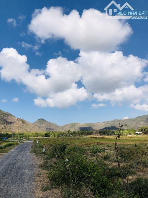 TT Phước Hải view Minh Đạm ra biển 2km, 32m mt 689m2 có 315tc, làm homestay, phân lô, 4ty2 - 1