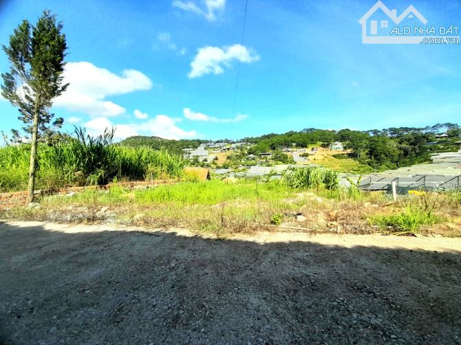 Bán gấp đất biệt thự view đồi thông khu dân cư Nam Hồ, đi Hồ Xuân Hương hơn 4km - 1