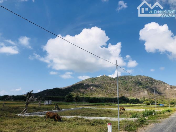 TT Phước Hải view Minh Đạm ra biển 2km, 32m mt 689m2 có 315tc, làm homestay, phân lô, 4ty2 - 2