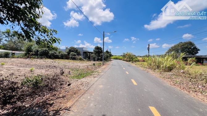 Láng Dài- Đất Đỏ- BRVT; Cách Quốc lộ 55 1km 🌈DT 210m2 Giá 750tr - 4