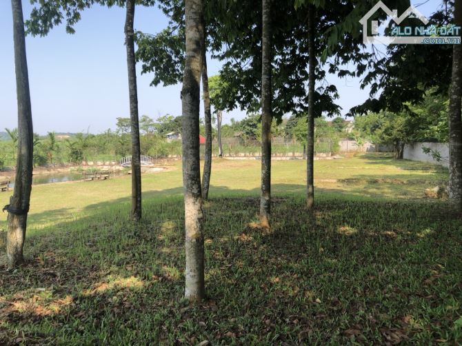 MẢNH ĐẤT 6900M2, ĐẤT CAO THOÁNG VIEW CÁNH ĐỒNG, VÂN HÒA, BA VÌ, HÀ NỘI - 5