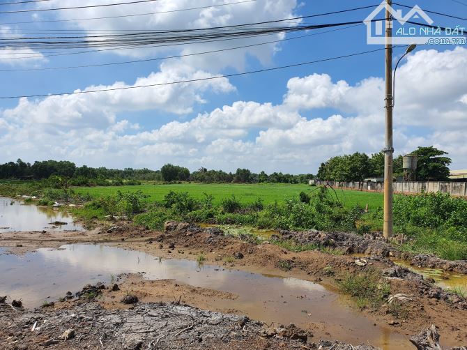 Gần 1 hecta đất MT Đ.Vành Đai 3, Bình Mỹ Củ Chi, 75x157m vuông vức thích hợp xây kho xưởng - 5