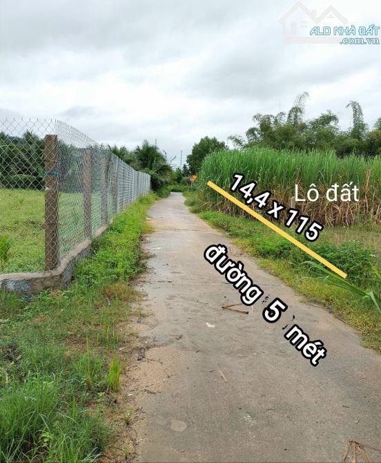 "Đất vườn Diên Phước, Diên Khánh đường quy hoạch 22 mét. Cách sông Cái Nha Trang 250m. Gần