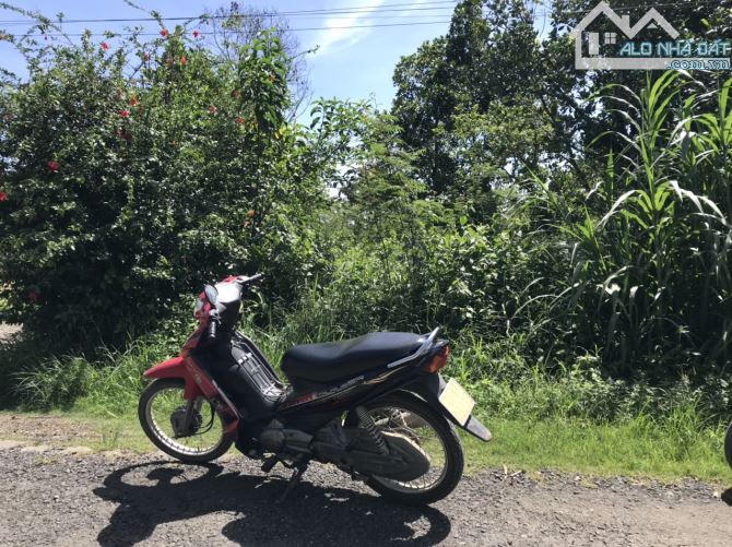 1 sào 100m thổ cư Đại Lào Bảo Lộc. đất bằng đẹp - 2
