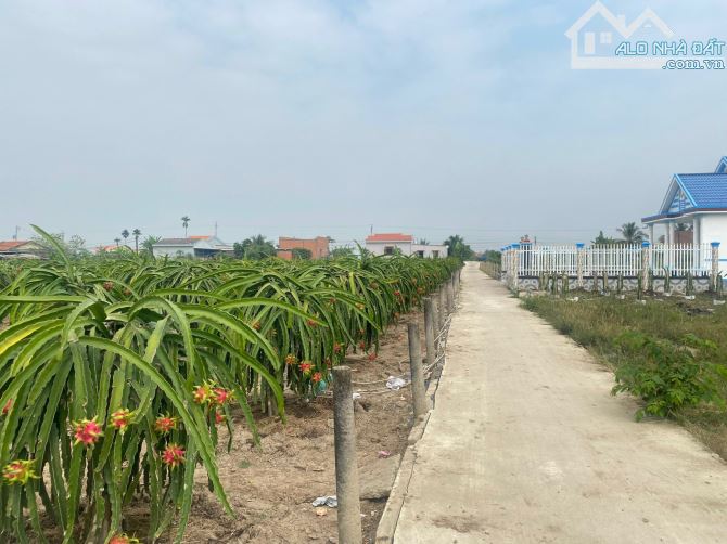 ✅ BÁN ĐẤT THỔ AN LỤC LONG_ DT: 5 x 20m2 _ ĐƯỜNG XE HƠI 7 CHỔ _ GIÁ: 360 TRIỆU. - 3
