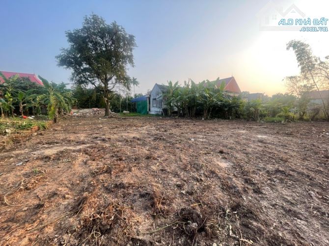 Bán lô đất siêu to ở Minh Tân, Kiến Thuỵ - 1