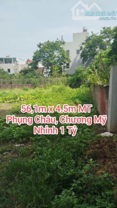 Đất Phụng Châu, Chương Mỹ, 57m2, Giá Đầu Tư - 1