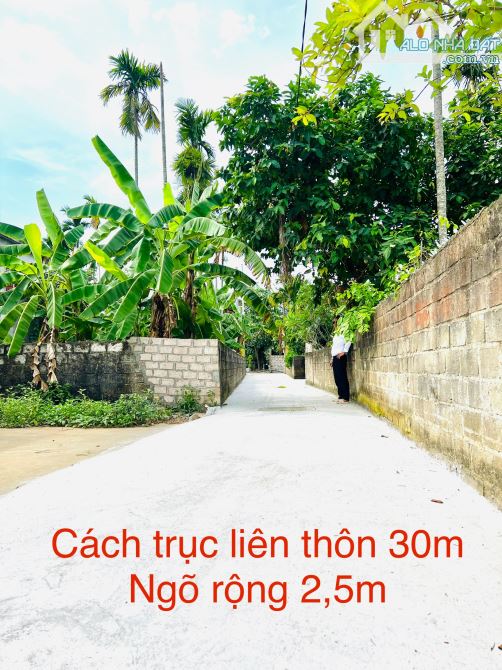 🌈🌈 Bán 4 lô F0 sẵn bìa Lâm Động cách đường 203 chỉ 200m 👉 giá chỉ từ 1,1x tỷ - 1