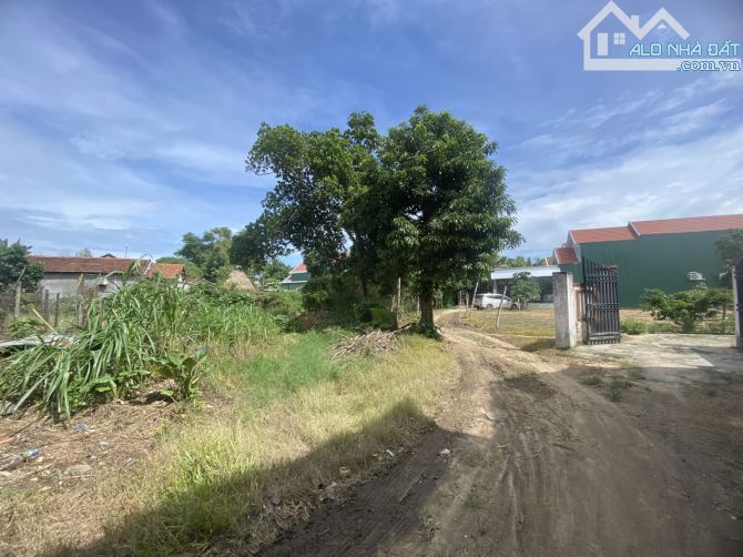 Bán vườn hơn 900m2 trung tâm xã Nghĩa Dũng - 2