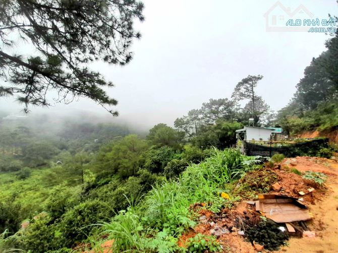 Bán đất view rừng thông và sát rừng thông khu dân cư trung tâm Đà Lạt, đi chợ đêm hơn 1km - 1