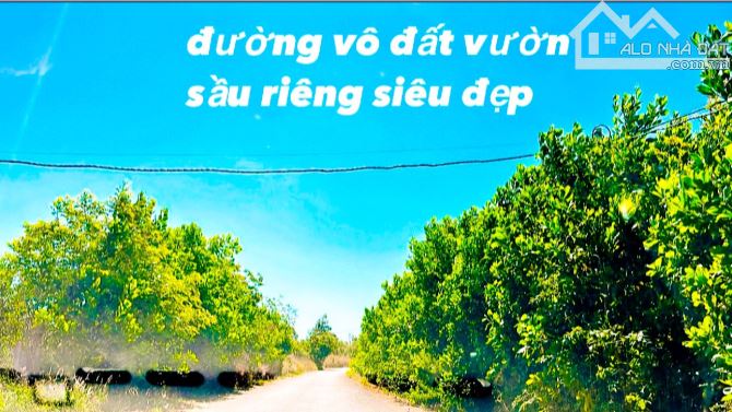 80#💥Siêu phẩm 5 lô mặt tiền đường nhựa QH 32m trục chính liên Xã  nằm trong khu dân cư bu - 3