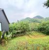 Bán căn góc 160m2, sổ hồng HN trong Khu nghỉ dưỡng Tonkin Village, Ba Vì