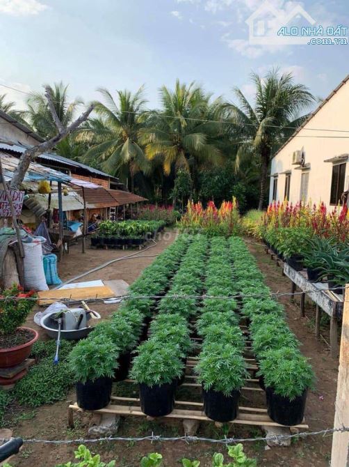 Bán nền mặt tiền view sông Long Hòa, Bình Thủy