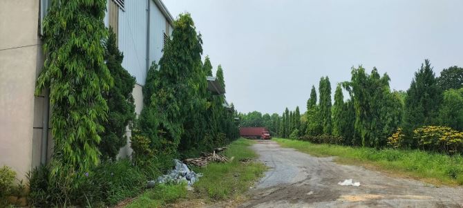 Cho thuê kho, xưởng 2000m2, 6000m2 tại Ứng Hoà, Hà Nội giá 50 k/m2/tháng - 1