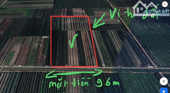 Bán đất đường 8m huyện Tân Phước, Tiền Giang - 5