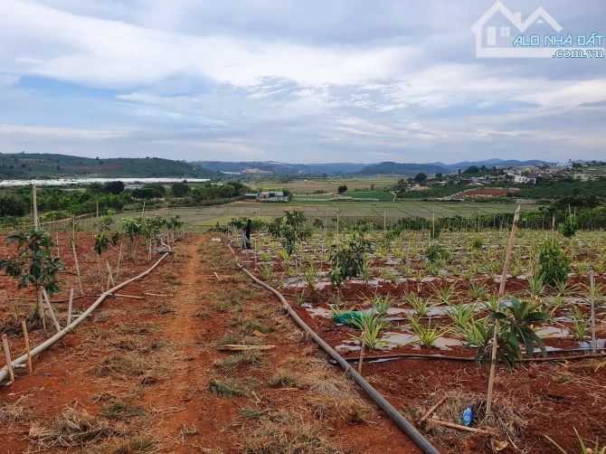 Bán 17.000m2 đất View hồ Đại Ninh xã Tà Hine,Đức Trọng,Lâm Đồng giá 10 tỷ TL