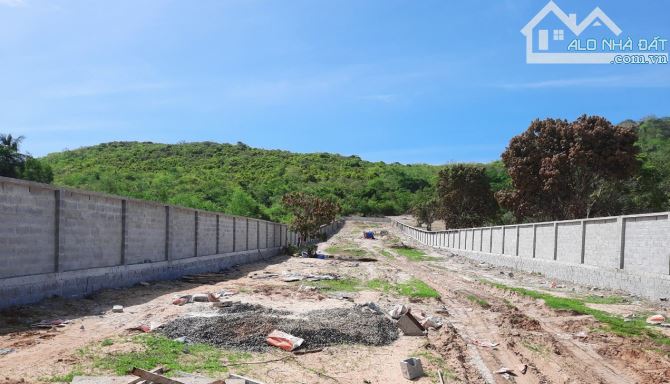Đất Toạ Sơn,Mặt tiền DT715-Thiện Nghiệp-Phan Thiết-DT 3.175m2 - 2