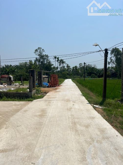 Bán đất khu quy hoạch Quảng Điền sát bên chợ ubnd xã - 4