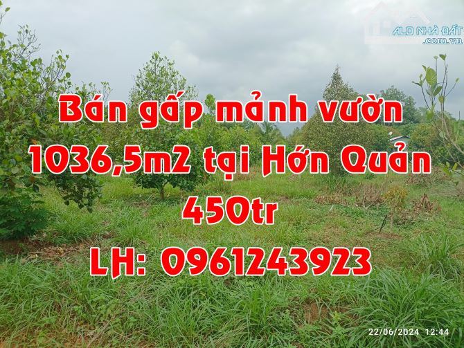 RA NHANH MẢNH VƯỜN HƠN 1000M2 CHỈ 450TR