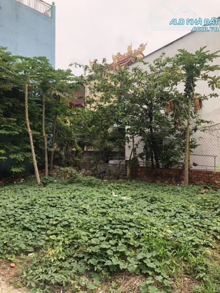 Ngộp bán gấp Đất hẻm Nguyễn Văn Nghi, đối diện trường ĐH Công Nghiệp, 268m2 nhỉnh 60tr/m2 - 1