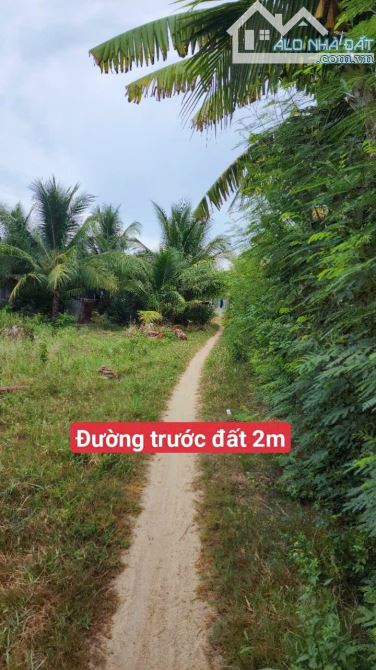 BÁN VƯỜN DỪA BÌNH SƠN NINH THỌ TRONG KHU DÂN, NINH HOÀ CÁCH ĐƯỜNG DT7 50M, CÁCH BIỂN 3KM. - 1