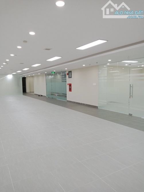 Cho Thuê Văn Phòng Đường Hải Thượng Lãng Ông P10 Quận 5 DT 250m2 giá 62 triệu /tháng - 2