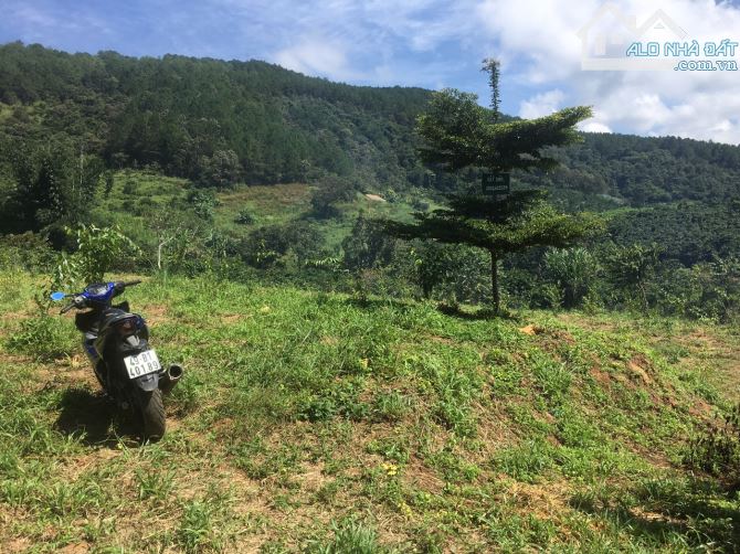 NHANH TAY TẬU NGAY 2 LÔ LIỀN KỀ VIEW CỰC THOÁNG NGAY EM TÀ NUNG COFFEE FARM - 2