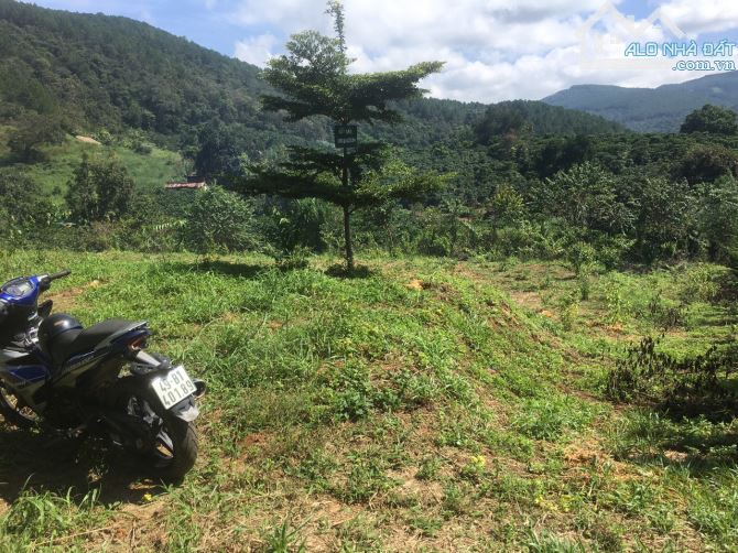 NHANH TAY TẬU NGAY 2 LÔ LIỀN KỀ VIEW CỰC THOÁNG NGAY EM TÀ NUNG COFFEE FARM - 3