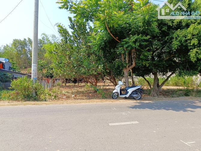 Bán đất ngộp mặt tiền đường nhựa 10m đi vào khu du lịch suối Yang Bay, Khánh Phú, Khánh Vĩ - 1
