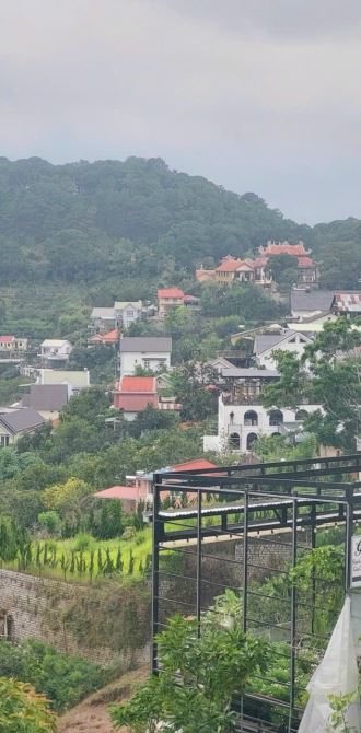 💲816m- KHE SANH- P10 ĐÀ LẠT 🌲VIEW RỪNG THÔNG - 1