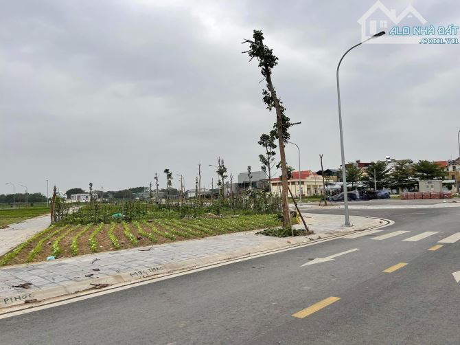 Chuyển nhượng đấu giá Dục Tú - Đông Anh - Hà Nội - 1
