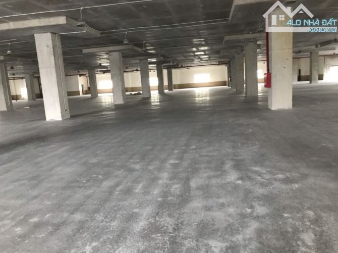 Cho thuê kho xưởng 6000m2, 12000m2 cụm Công Nghiệp, Tân Tiến, Huyện Văn Giang, Hưng Yên. - 3