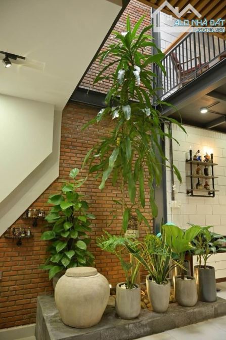 🌿bán căn homestay 2 mặt tiền trước sau đường quy hoạch Lý Tự Trọng ,trung tâm Hải Châu - 8