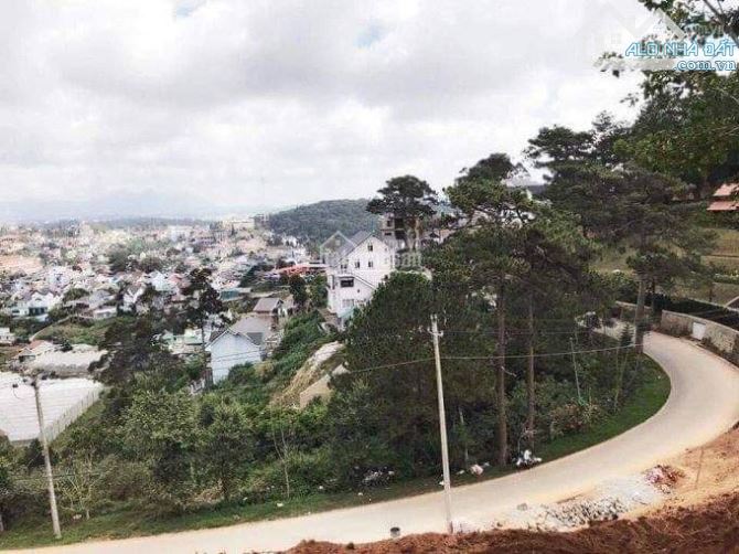 Cần bán lô đất mặt tiền Đống Đa, p3, tp Đà Lạt. 3700m². Ngang 130m. 75tr/m²