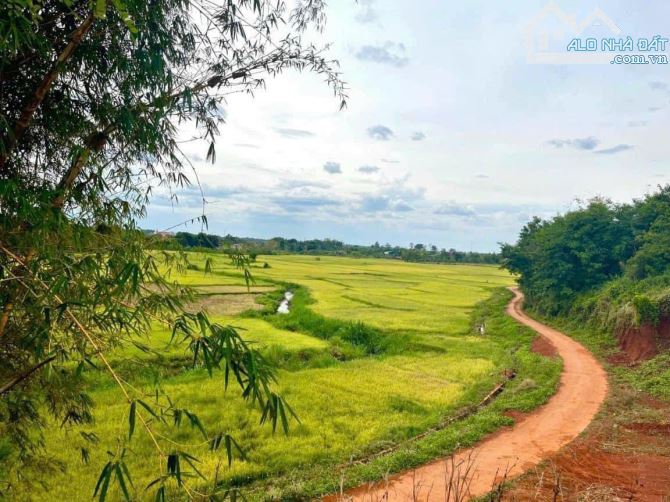 Bán 3 sào đất view ruộng ngay sau khu đấu giá Eapok , Đăk Lắk