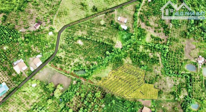 ✨ SỈ 11 LÔ: trên 500m2, Ngang từ 6M, cách Nhựa chỉ 50 mét, xung quanh KDC ở kín - 89Tr/ lô - 10
