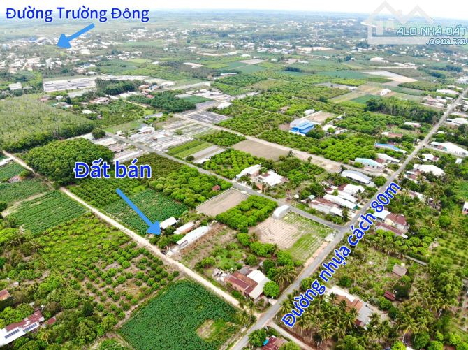 82#🌳 TẶNG HÀNG RÀO KIÊN CỐ CHO LÔ ĐẤT SẮP LÊN NHỰA GIÁ CHỈ 599TR TẠI TX. HOÀ THÀNH TÂY NI - 11