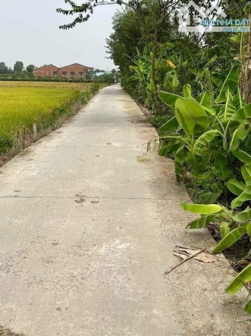 ✅ Bán 1000m2 đất lúa thuộc xã Nhơn Thạnh Trung, TP. Tân An _ 10 X 100m² - 1