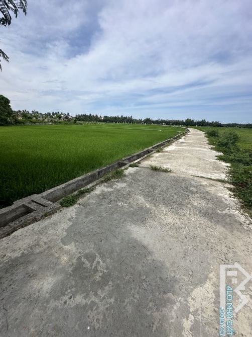 Bán 508m đất view lúa tại thôn 5 Cẩm Thanh thích hợp xây villa - 1