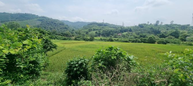 Bán 510m đất Lương Sơn Hòa Bình đường oto tránh gần QL6 giá chưa đến 2 tỷ - 2