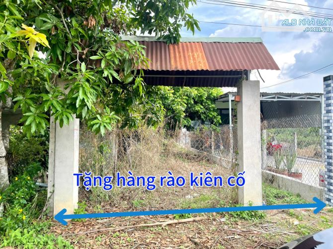 82#🌳 TẶNG HÀNG RÀO KIÊN CỐ CHO LÔ ĐẤT SẮP LÊN NHỰA GIÁ CHỈ 599TR TẠI TX. HOÀ THÀNH TÂY NI - 3