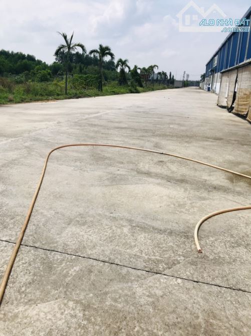 *Cho thuê kho xưởng *4000m2 QL 51, Long Thành, Đồng Nai - 5