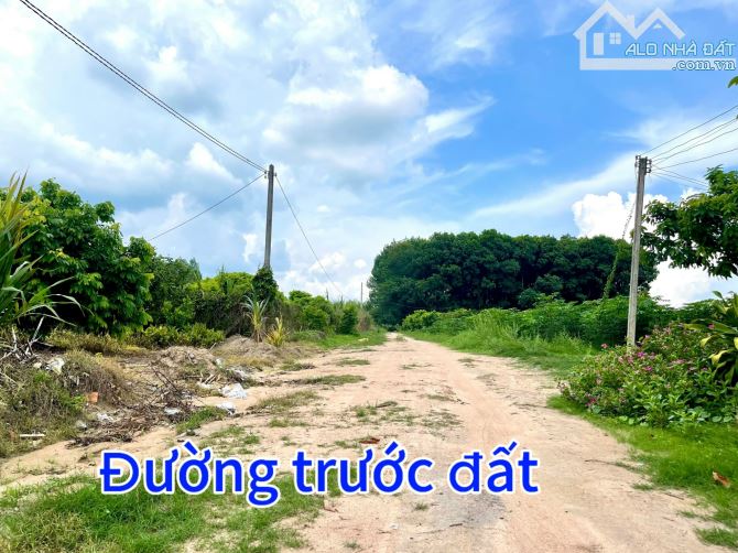 82#🌳 TẶNG HÀNG RÀO KIÊN CỐ CHO LÔ ĐẤT SẮP LÊN NHỰA GIÁ CHỈ 599TR TẠI TX. HOÀ THÀNH TÂY NI - 7