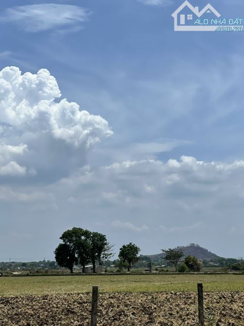 BÁN LÔ ĐẤT VIEW RUỘNG LÚA VÀ NÚI TUYỆT ĐẸP, ĐƯỜNG NHỰA, THỔ CƯ, CÁCH BIỂN CHỈ 5 PHÚT - 8