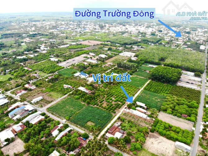 82#🌳 TẶNG HÀNG RÀO KIÊN CỐ CHO LÔ ĐẤT SẮP LÊN NHỰA GIÁ CHỈ 599TR TẠI TX. HOÀ THÀNH TÂY NI - 8